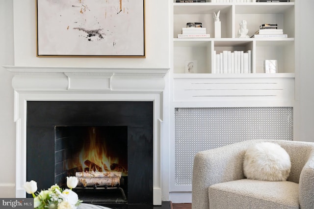 details with a warm lit fireplace