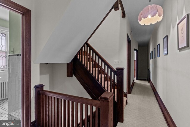 staircase featuring carpet