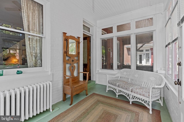 sunroom with radiator