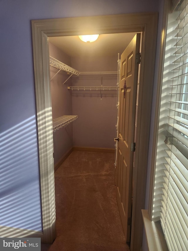 spacious closet with dark colored carpet