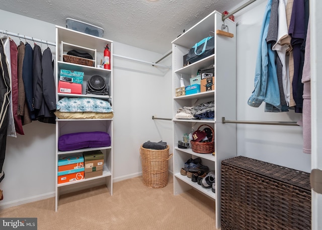 walk in closet featuring carpet flooring