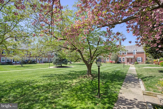 view of property's community featuring a yard