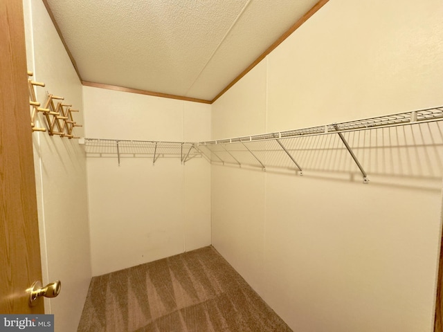 walk in closet featuring carpet flooring