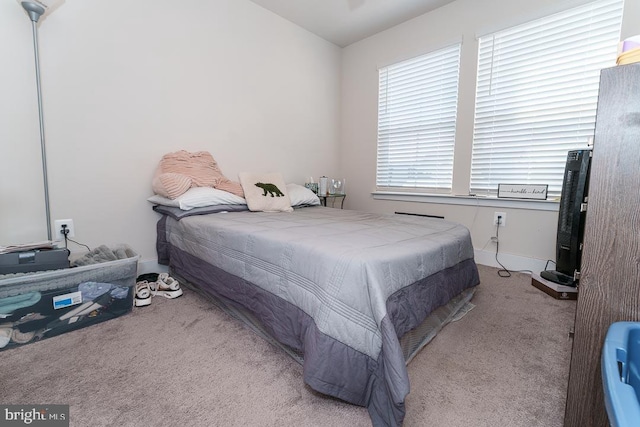 bedroom with carpet floors