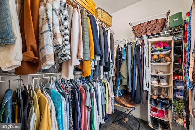 view of spacious closet