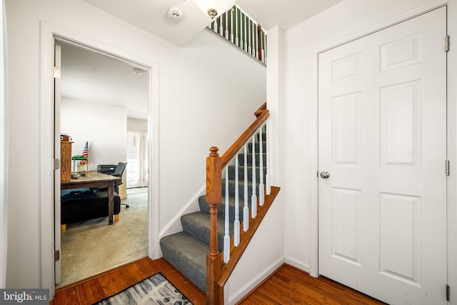 stairway with hardwood / wood-style flooring