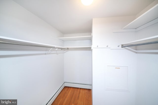 walk in closet featuring a baseboard radiator and hardwood / wood-style flooring