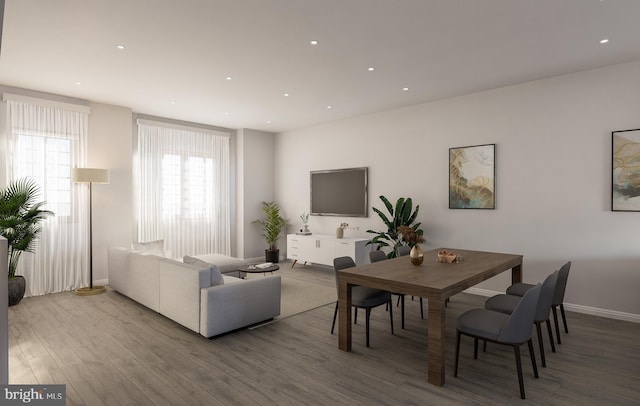 living room with hardwood / wood-style floors