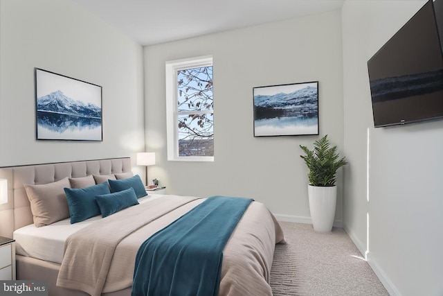 bedroom with carpet flooring