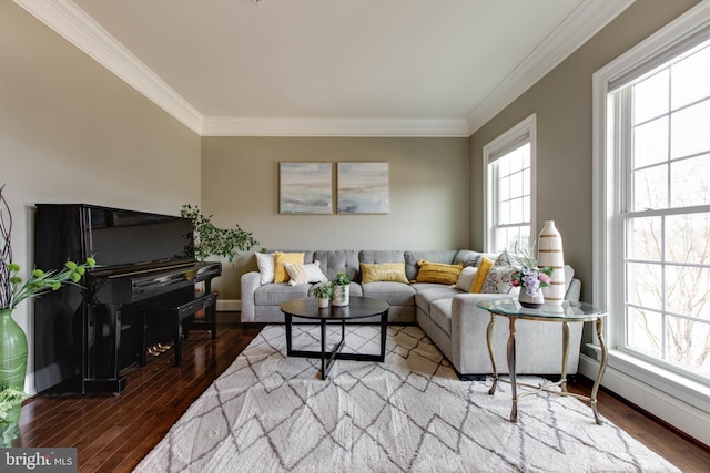 living room with hardwood / wood-style flooring, crown molding, and a healthy amount of sunlight