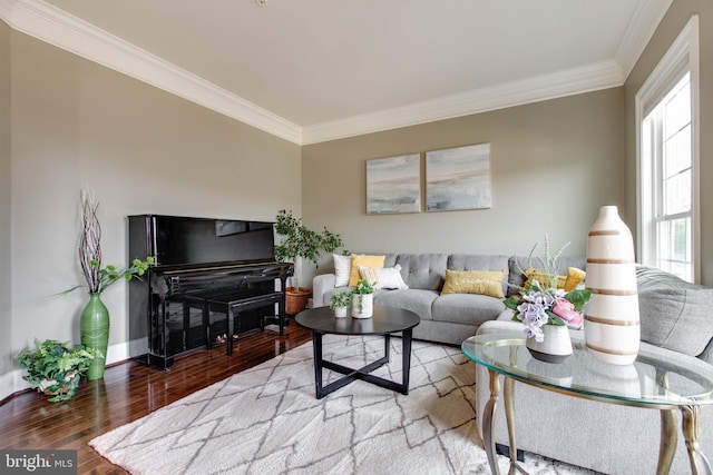 living room with ornamental molding and hardwood / wood-style flooring