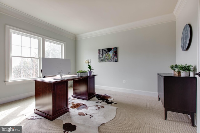 office featuring light carpet and crown molding