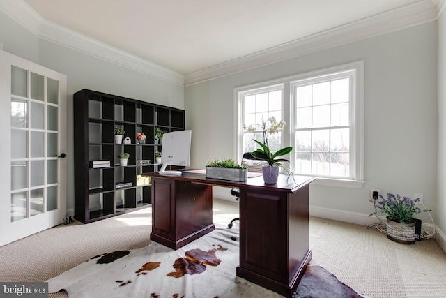 carpeted office space with ornamental molding