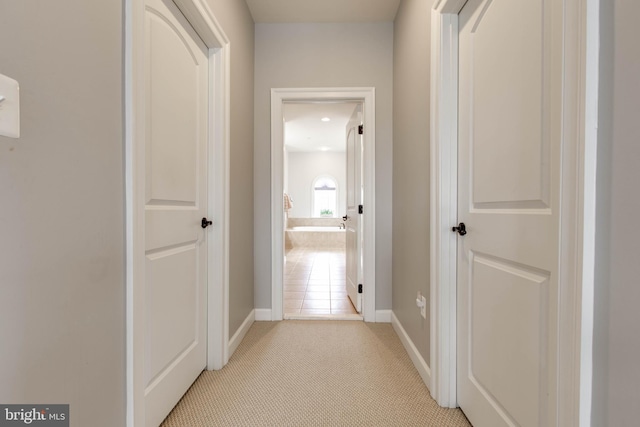 corridor with light carpet