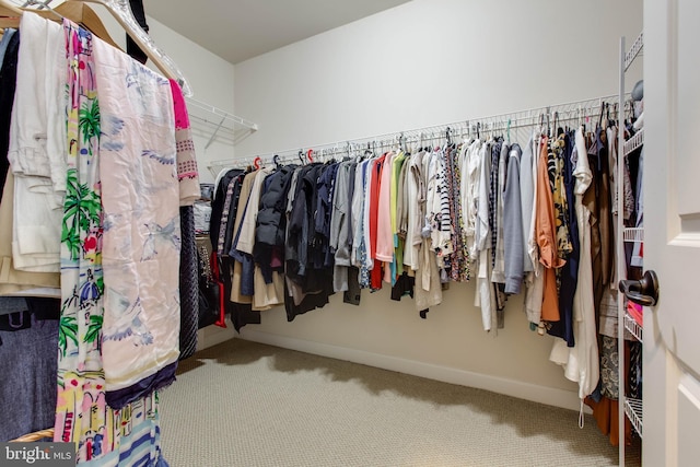 walk in closet featuring carpet flooring