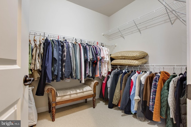 spacious closet featuring carpet