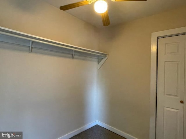 spacious closet featuring ceiling fan and dark colored carpet