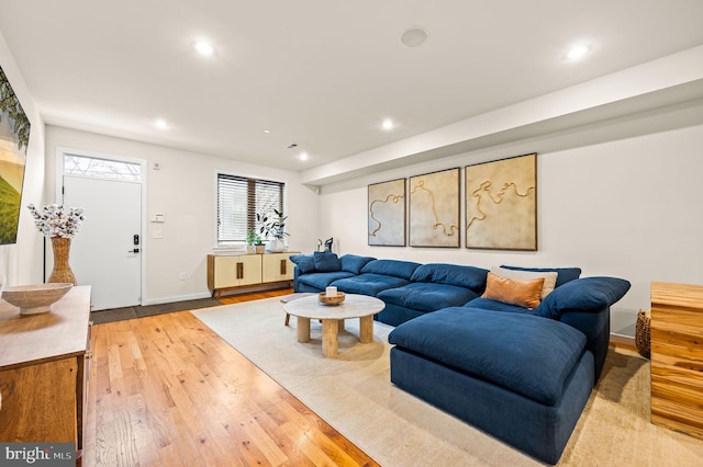 living room featuring light hardwood / wood-style floors