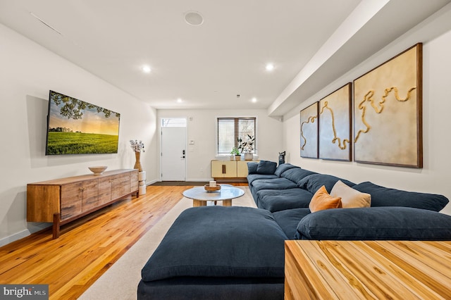 living room featuring light hardwood / wood-style flooring