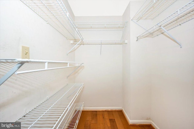 spacious closet featuring hardwood / wood-style flooring