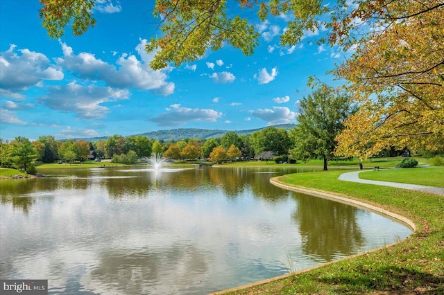 property view of water