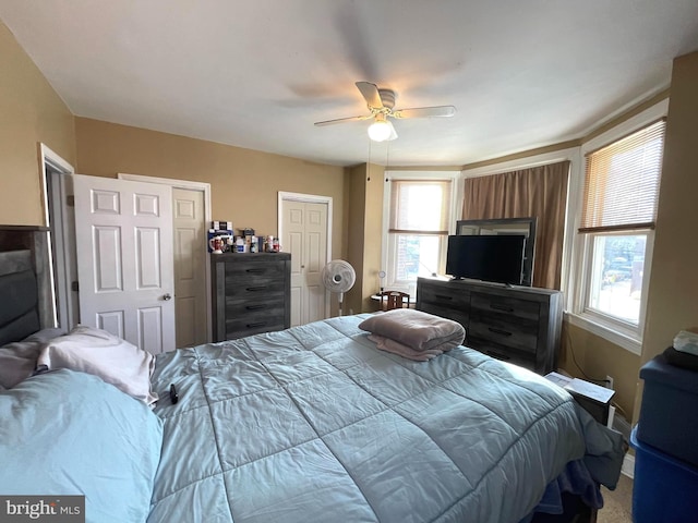 bedroom featuring ceiling fan, multiple windows, and two closets