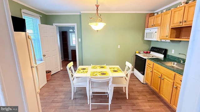 kitchen with wood finished floors, hanging light fixtures, white appliances, and a sink