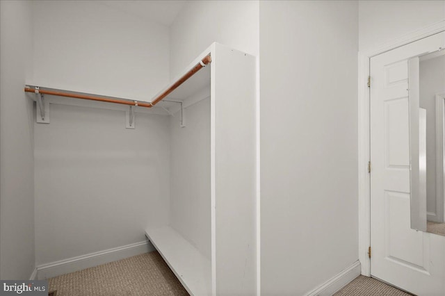 view of walk in closet