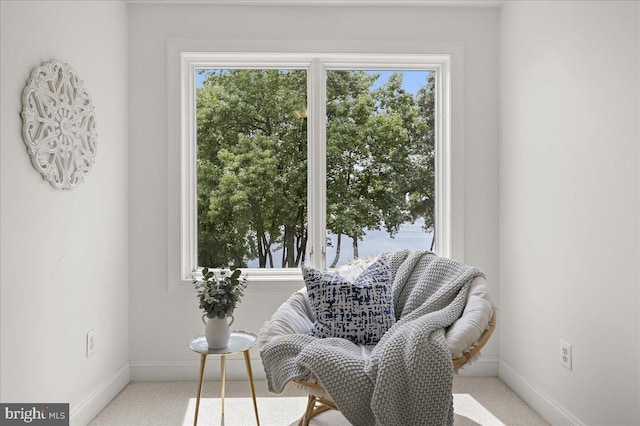 living area featuring a wealth of natural light and baseboards