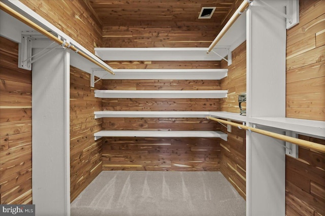 spacious closet featuring carpet