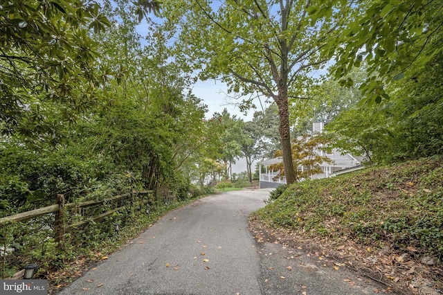 view of street with driveway