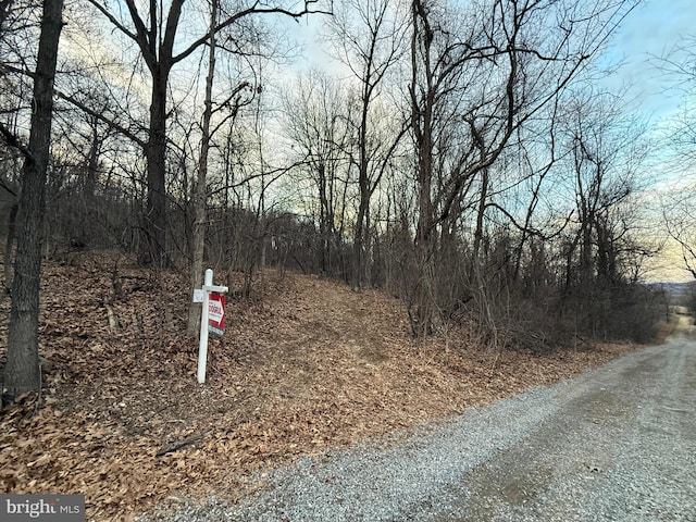 Listing photo 3 for Frasier Hill Ln, Bluemont VA 20135