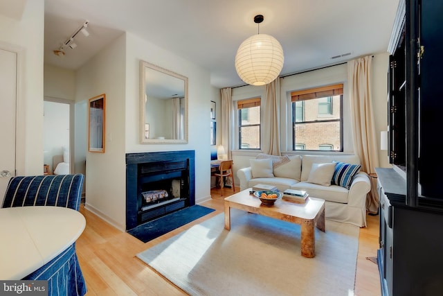 living room featuring track lighting and light hardwood / wood-style flooring