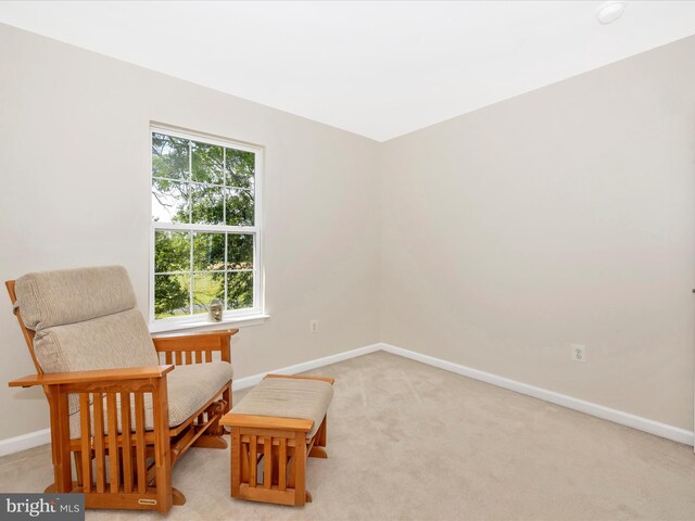 330 Mountaineers Way, Emmitsburg, MD 21727 - living area with baseboards and carpet flooring