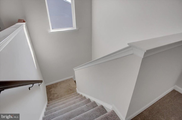 staircase with carpet flooring