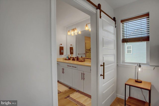 bathroom with vanity and wood-type flooring