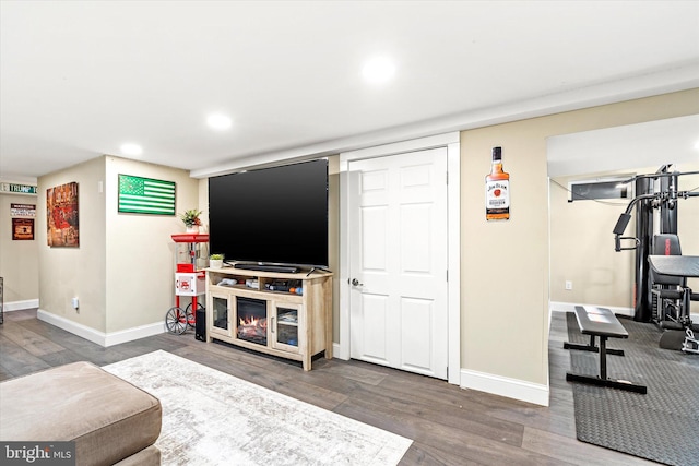 living room featuring dark hardwood / wood-style floors