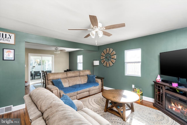 living room with ceiling fan, hardwood / wood-style flooring, and a wealth of natural light