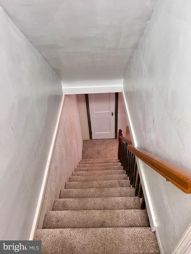 staircase with carpet floors