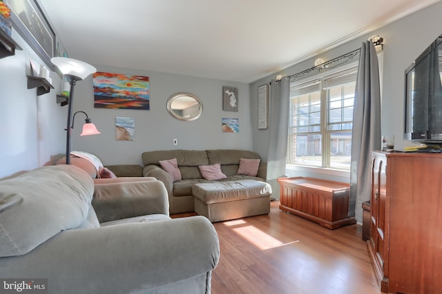 living room with wood finished floors