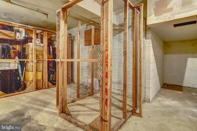 unfinished basement with concrete block wall