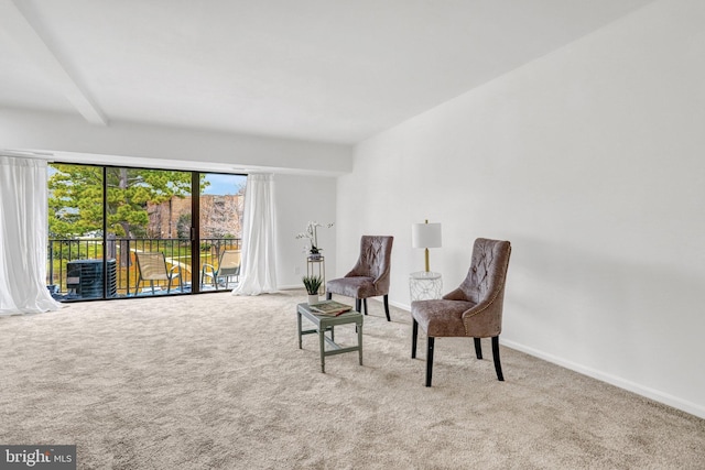 living area featuring carpet and baseboards