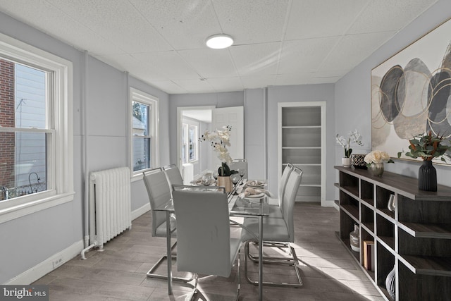 dining area featuring hardwood / wood-style flooring, radiator, and a drop ceiling