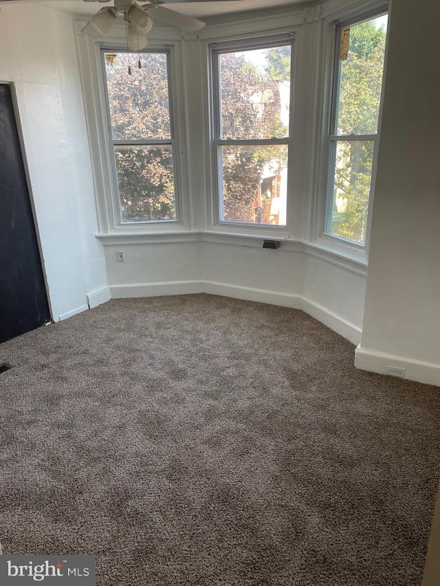 spare room featuring a ceiling fan, carpet, baseboards, and a wealth of natural light