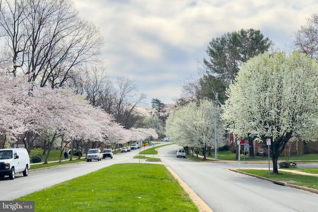 view of street with curbs