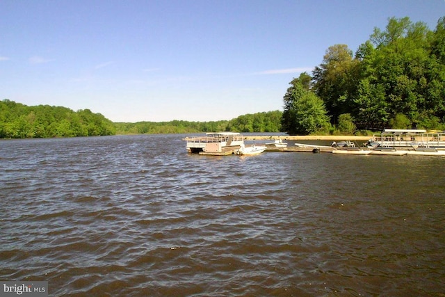 property view of water featuring a boat dock