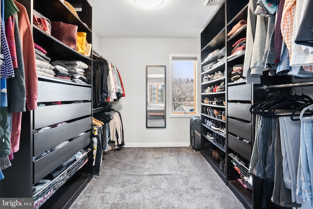 spacious closet featuring carpet