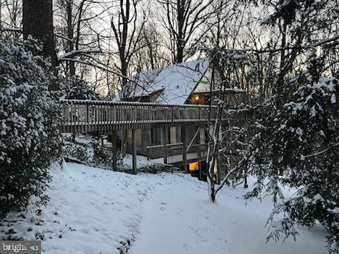 view of yard covered in snow