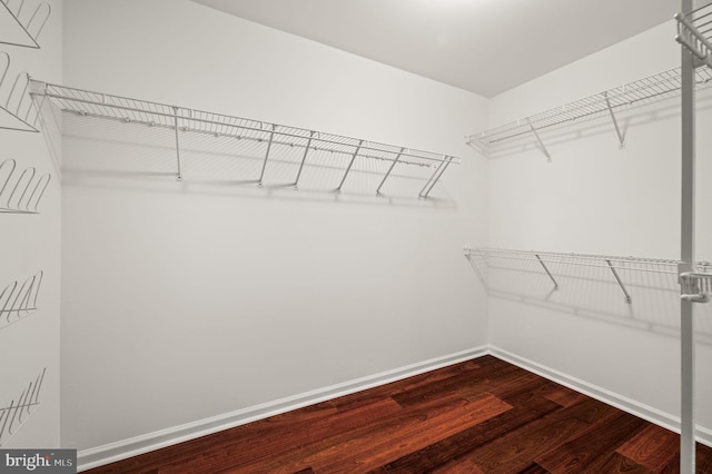 spacious closet with hardwood / wood-style floors