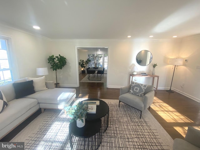 living room with dark wood-style floors, crown molding, and a healthy amount of sunlight